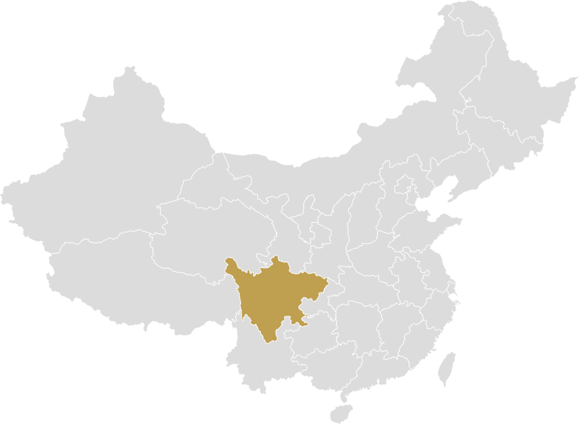 营销网络